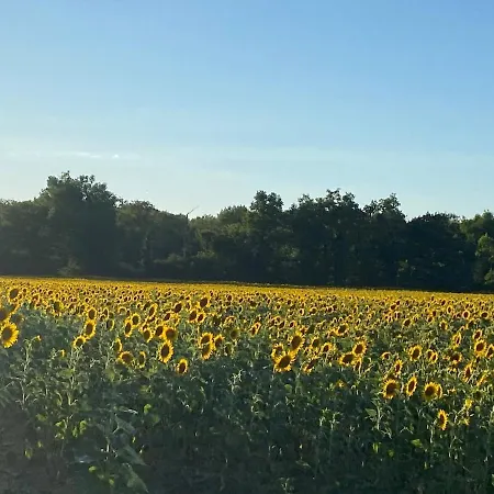 Escapade Au Coeur De La Dombes * Birieux