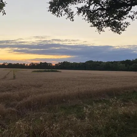 Escapade Au Coeur De La Dombes בית נופש Birieux